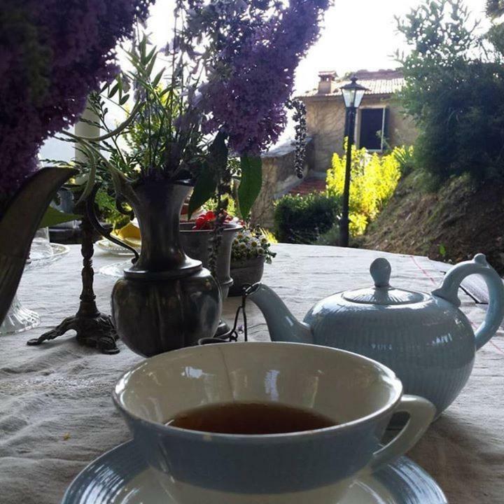 Villa Casa Emilia Stazzema Esterno foto
